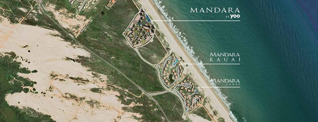 Mapa Mandara By YOO